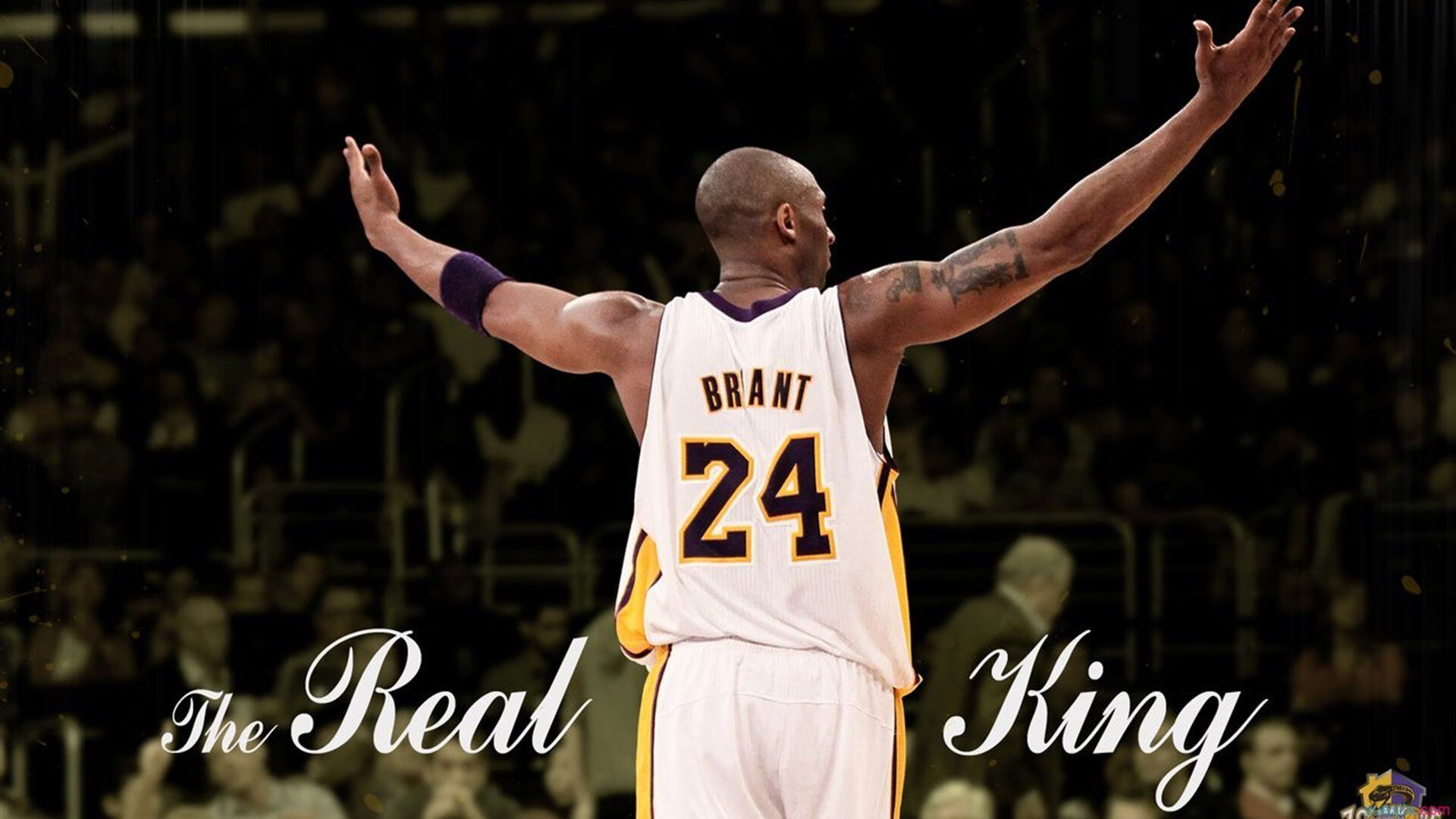 【逆境反击】球队X如何在落后多分的情况下逆转,逆境球生